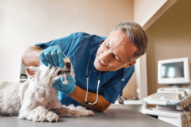 Best Emergency Wisdom Tooth Extraction in Ruidoso, NM